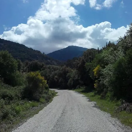 Art Κουσάντασι